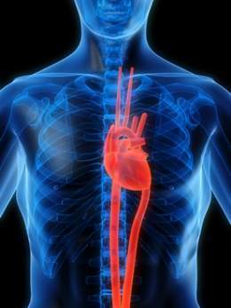 Shock Cardiogénico.jpg