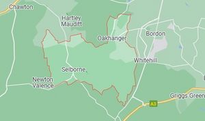 Selbornehampsire.jpg