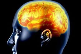 Epilepsia-300x201.jpg