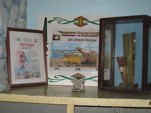 Img 36777.jpg