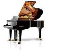Schimmel