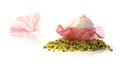 Flor-de-hibiscus-con-pisco-sour-sobre-crumble-de-pistachos-3.jpg