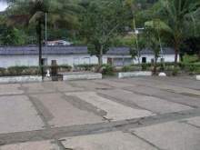 La Alegria.jpg