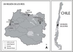 Mapa Malalhue.jpg
