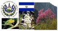 Miniatura de la versión del 16:43 21 feb 2012