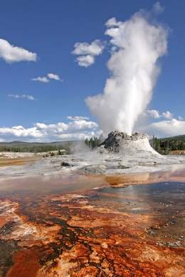 Resultado de imagen para Fotos de la fuente termal -Ear Spring-, en el parque nacional Yellowstone de Estados Unidos, entrÃ³ en erupciÃ³n