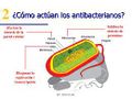Miniatura de la versión del 16:03 1 nov 2021
