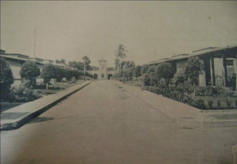 Archivo:Boyeros3.jpg