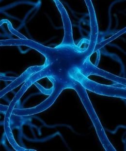 Deficiencia-acth.jpg
