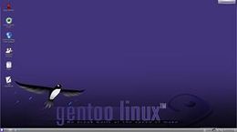 Gentoo121-large 001 (Copy).jpg