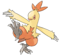 Combusken.png