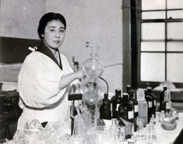 Kato sechi.jpg