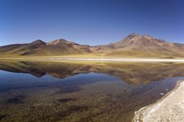 Laguna Miscanti.jpg