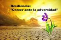 Miniatura de la versión del 11:31 1 jun 2022