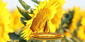 Lecitina-de-girasol.jpg