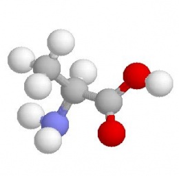 Resultado de imagen de Moléculas de carbono"