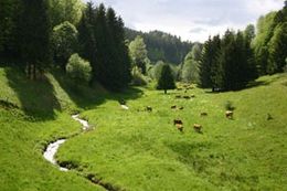 Parque natural Spessart.jpg