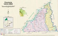 Beni-provincia-vaca-diez1.JPG