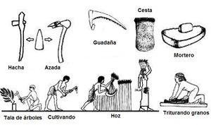 Herramientas primitivas.JPG