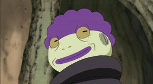 Shima.jpg