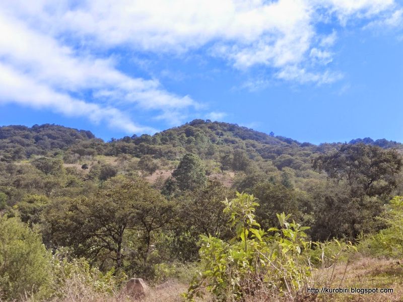 Archivo:Volcán Tahual (1).JPG