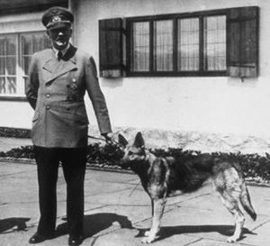 Blondi perro.jpg
