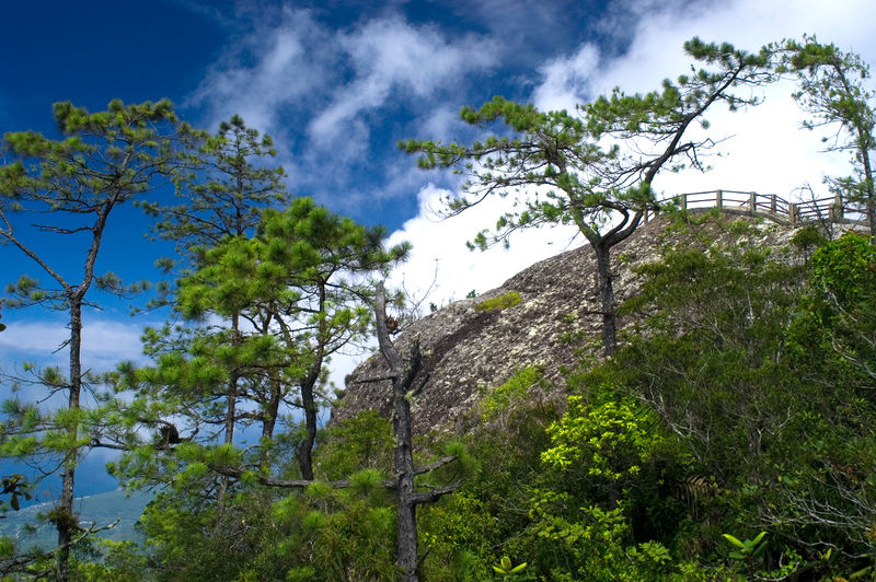 Archivo:Gran Piedra DetalleA.jpg