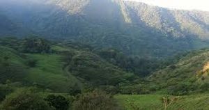 ZonaChompipepòrt.jpg