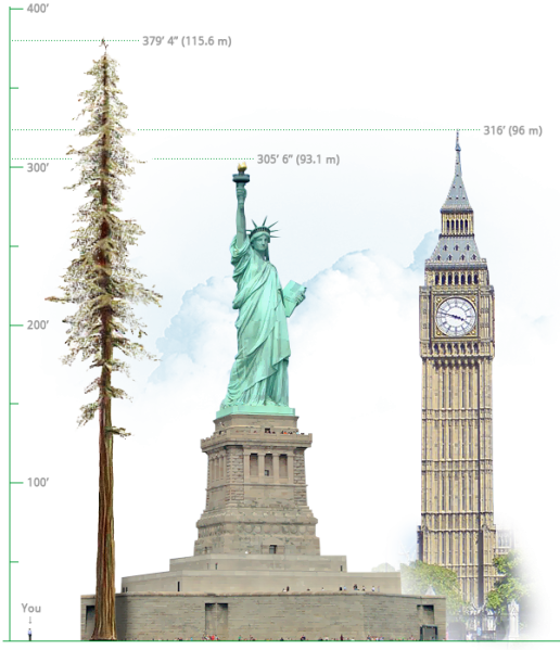 Archivo:Hyperion comparacion.png