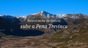 Penatrevinca.jpg