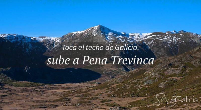 Archivo:Penatrevinca.jpg