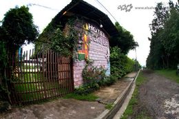 RUTA DE LAS FLORES.jpg