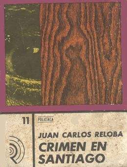 Crimen en Santiago.jpg