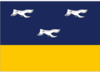 Bandera de Arapongas