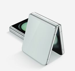 Galaxy-z flip 5.jpg