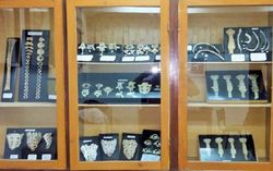 Museo-anatómico.jpg