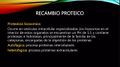 Miniatura de la versión del 04:22 22 feb 2024