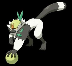 Passimian.jpg