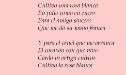 Poema Martí.JPG