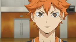 Shoyo Hinata.jpg