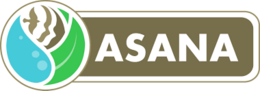 Asana.png