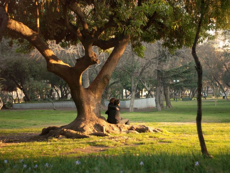 Archivo:Barrio-Lastarria-Parque-Forestal.jpg