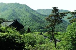 Parque-Nacional-Jirisan.jpg