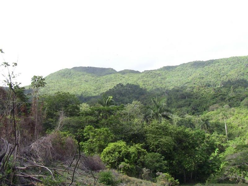 Archivo:Sitio-La-Llorona.jpg