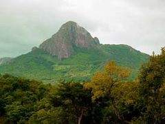 03cuapa resize.jpg