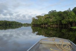 09-25 dia-mundial-rios.jpg