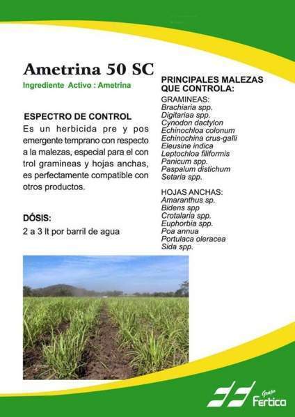 Archivo:Ametrin.jpg