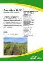 Miniatura de la versión del 10:17 11 abr 2013