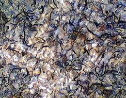 Cementita Cristalina.jpg