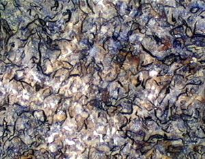 Cementita Cristalina.jpg